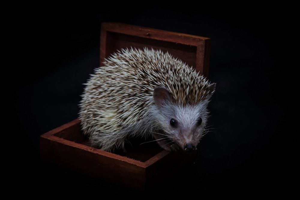 Photograph by Галина Сычева