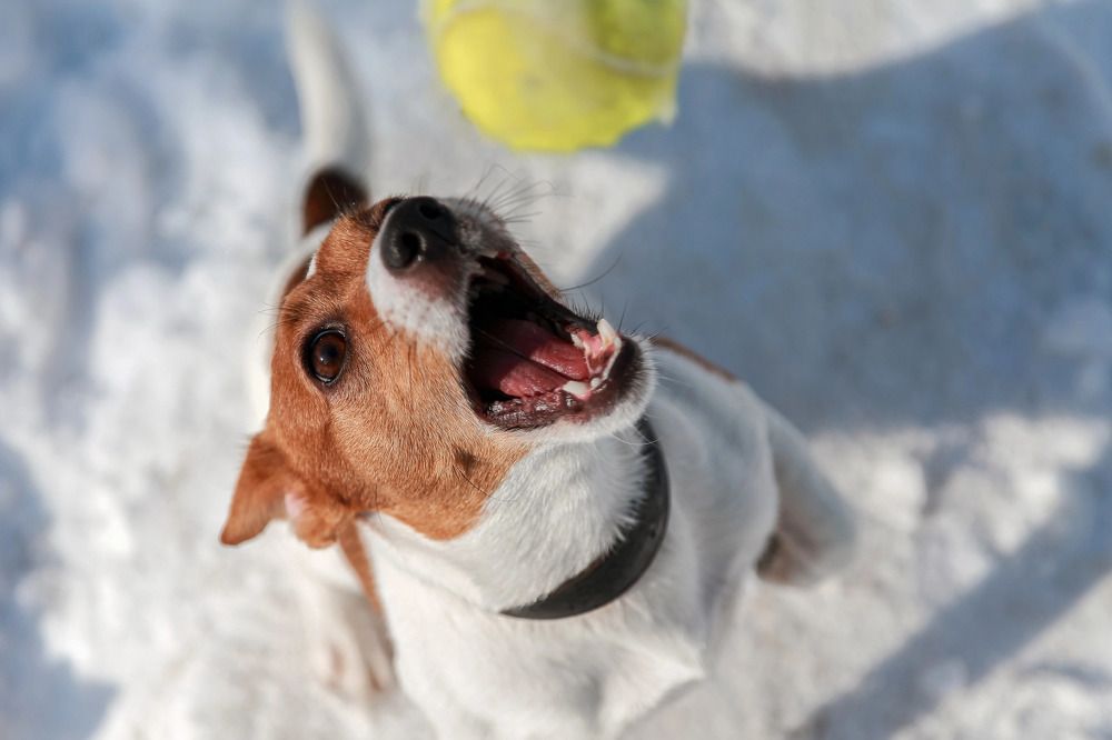 Photograph by Галина Сычева