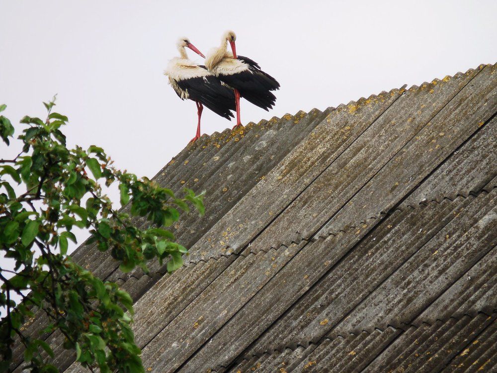 Photograph by TERESA Yurkevich