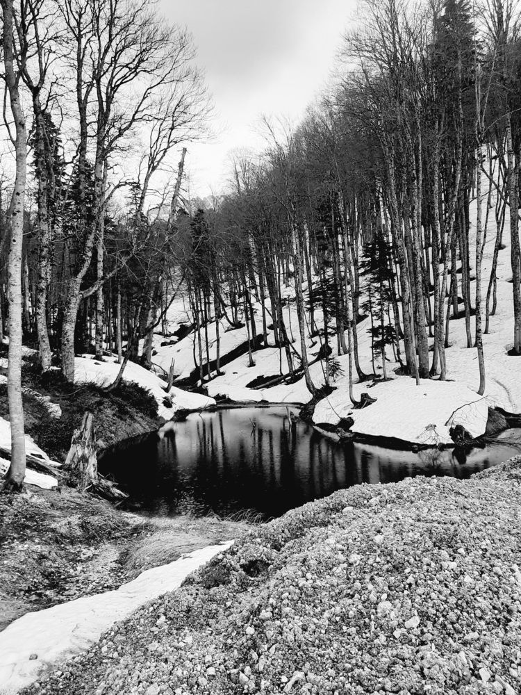 Photograph by Natalya Vasilenko