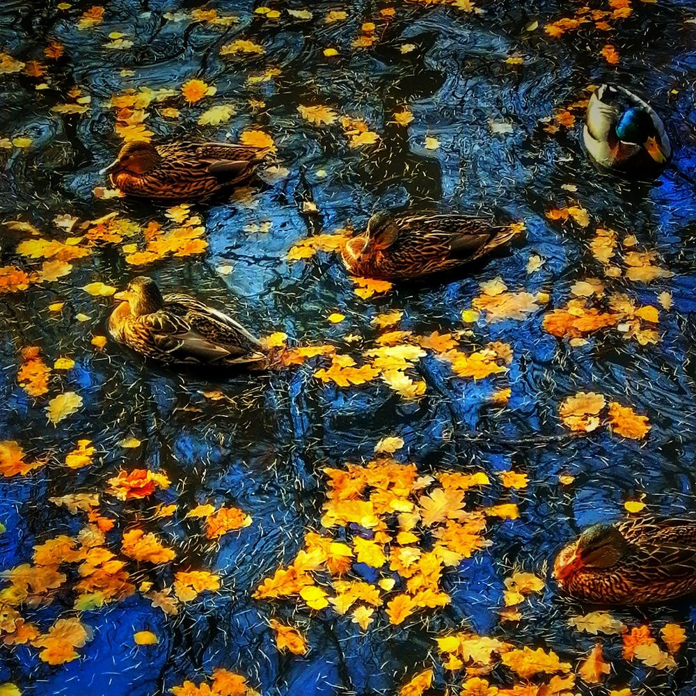 Photograph by Михаил Логвиненко