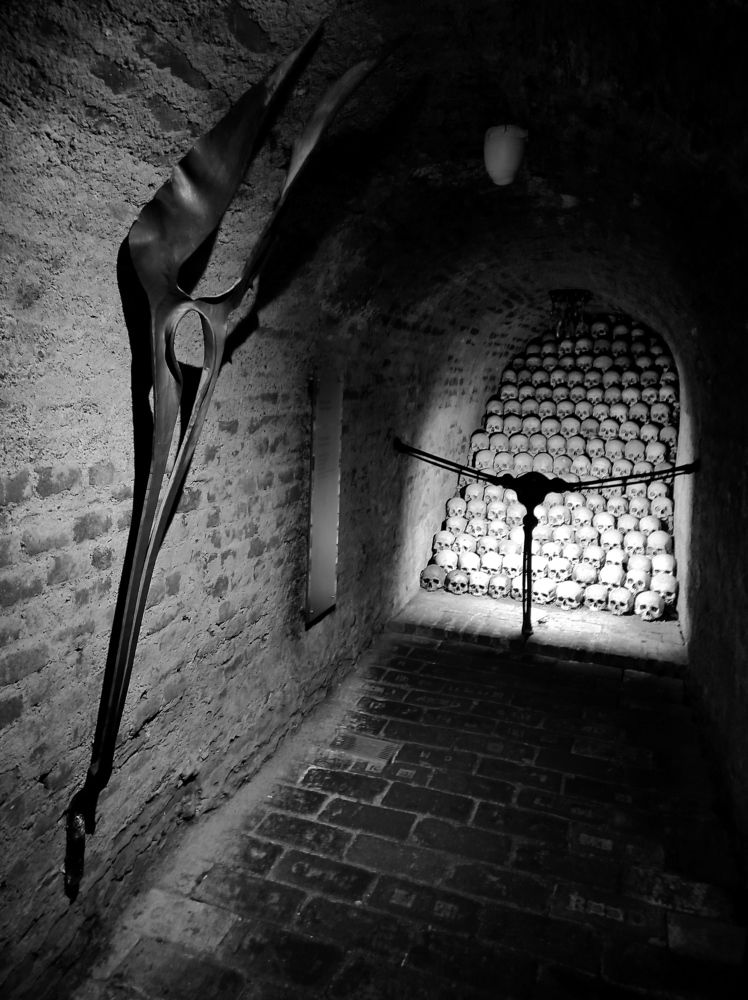 Photograph by Лысых Галина