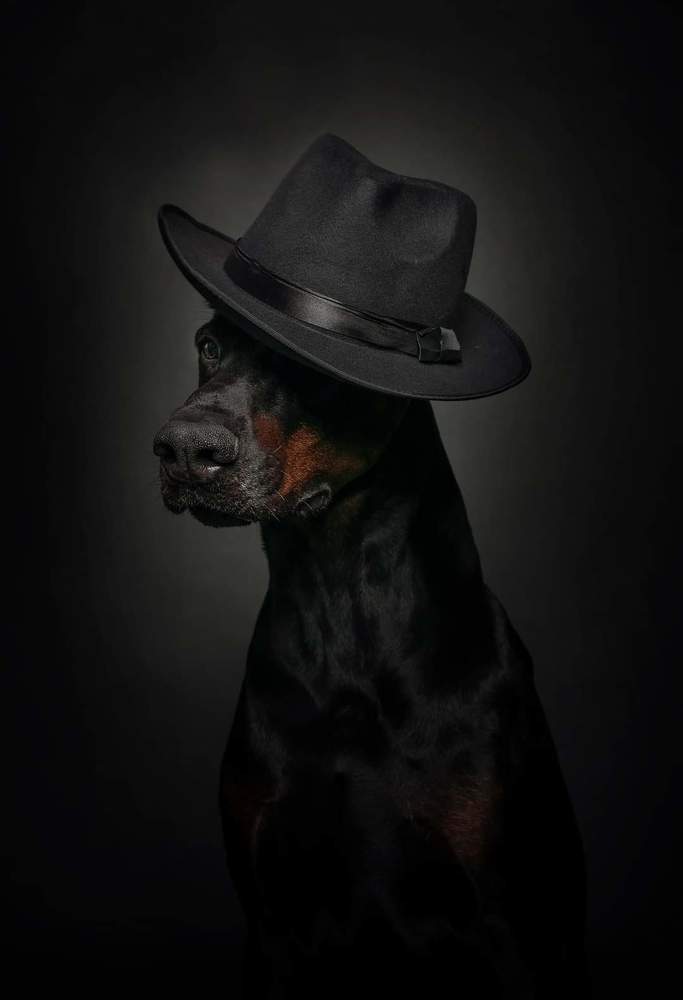 Photograph by Юлия Болдинова