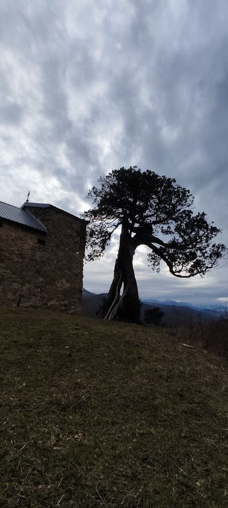 Photograph by Marika Charkviani