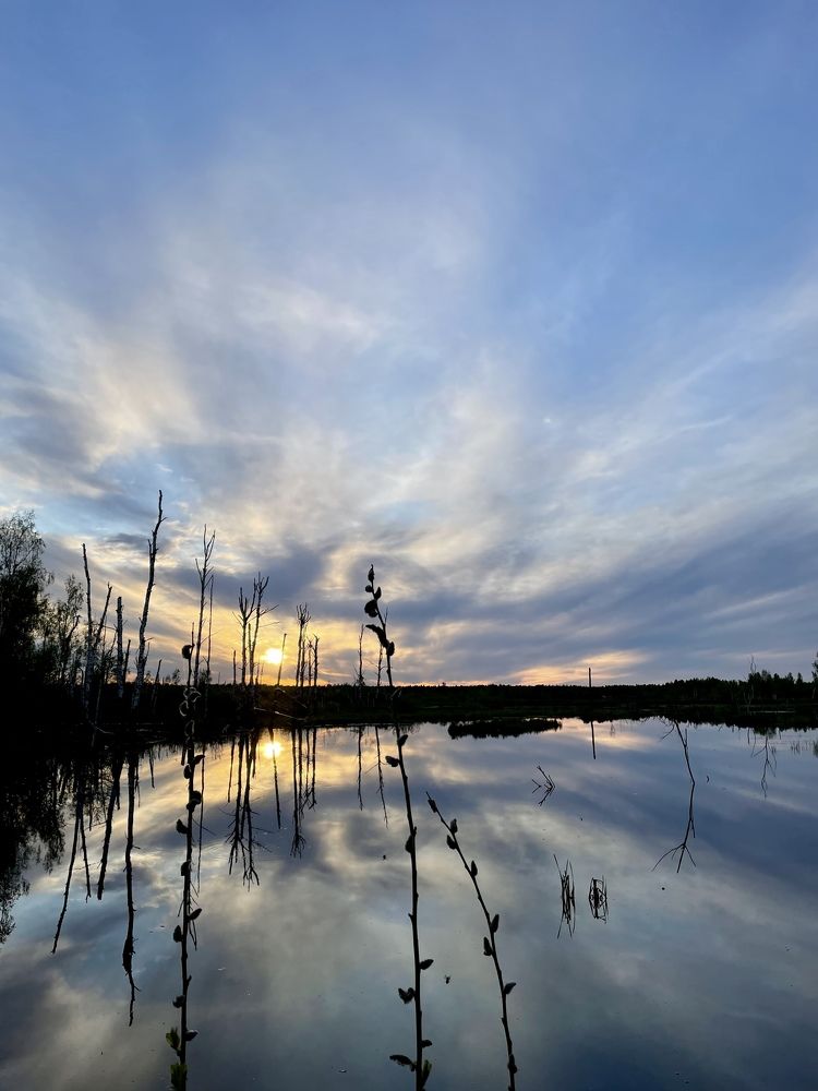 Photograph by Светлана Максимова