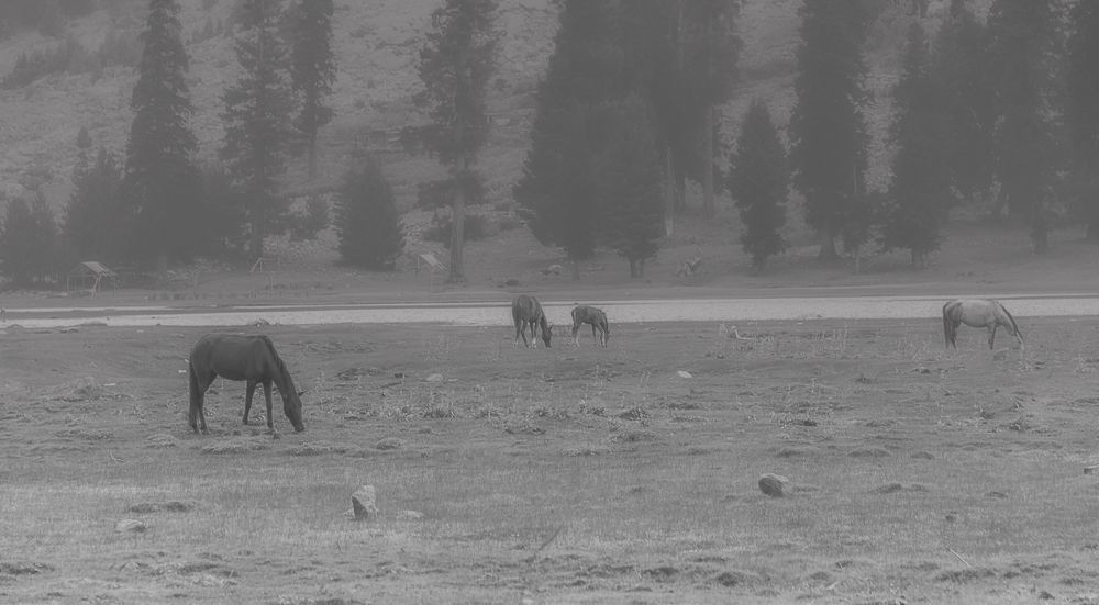 Фотография автора Fawad Hashmi