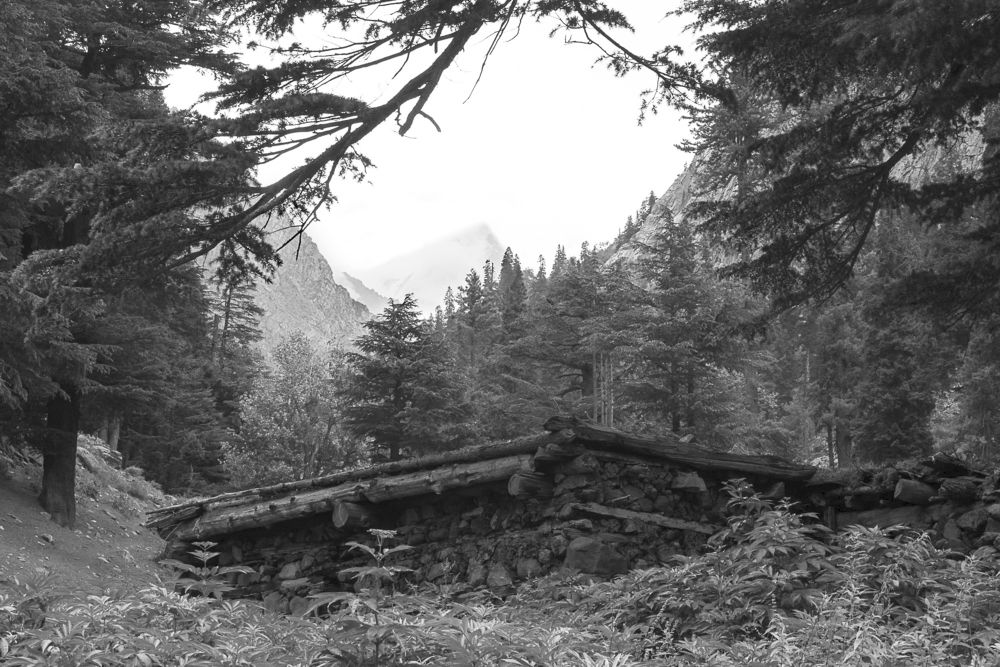 Фотография автора Fawad Hashmi