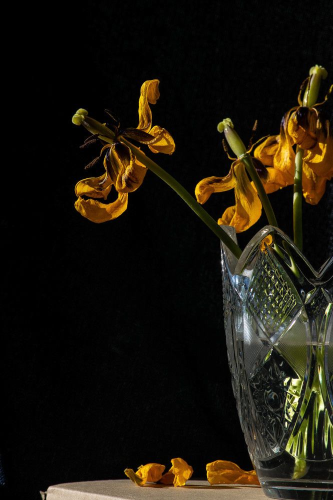 Photograph by Nora Cheprasova