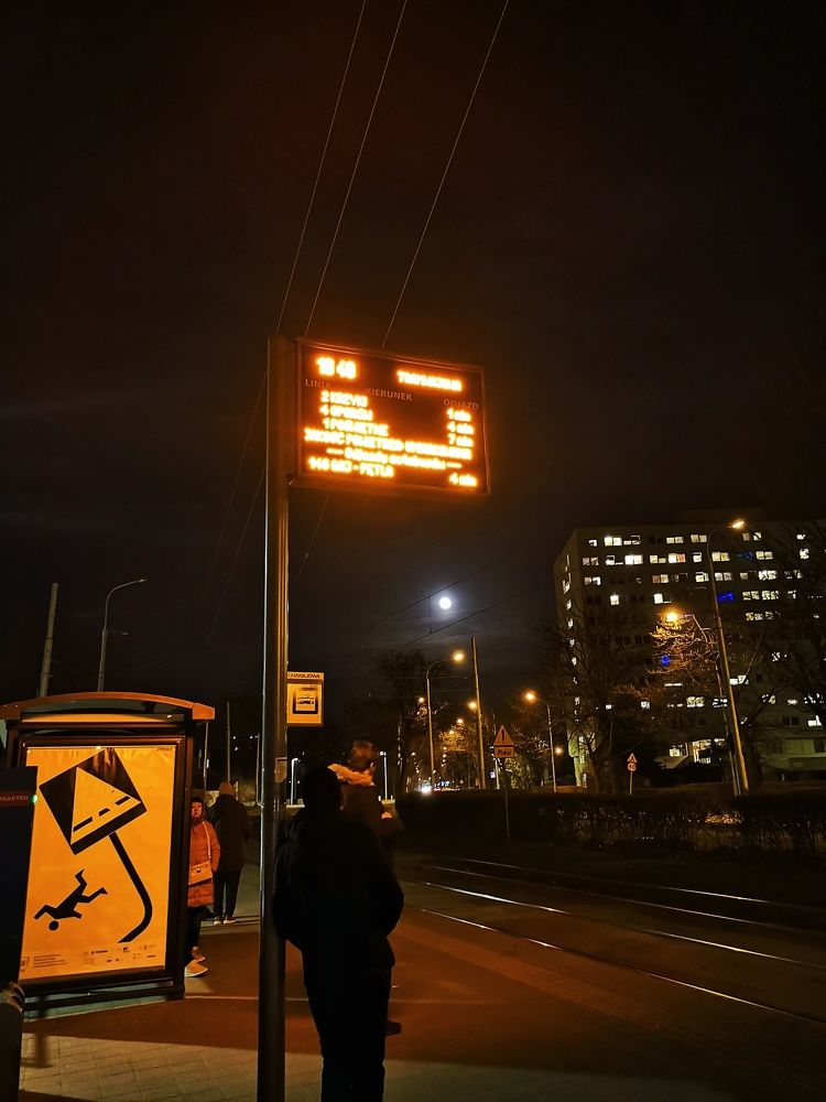 Photograph by Mohamed Amine Messaoudi