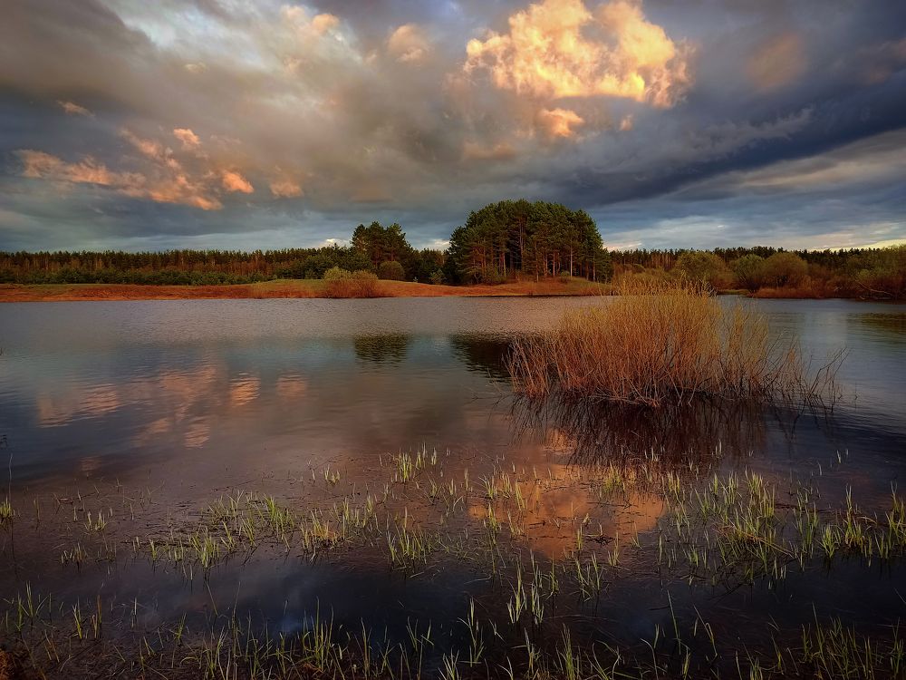 Photograph by Марина Мурашова