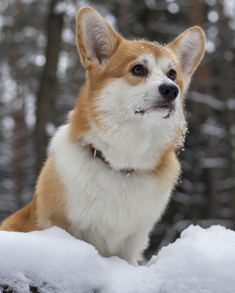 Photograph by Владислав Барышов