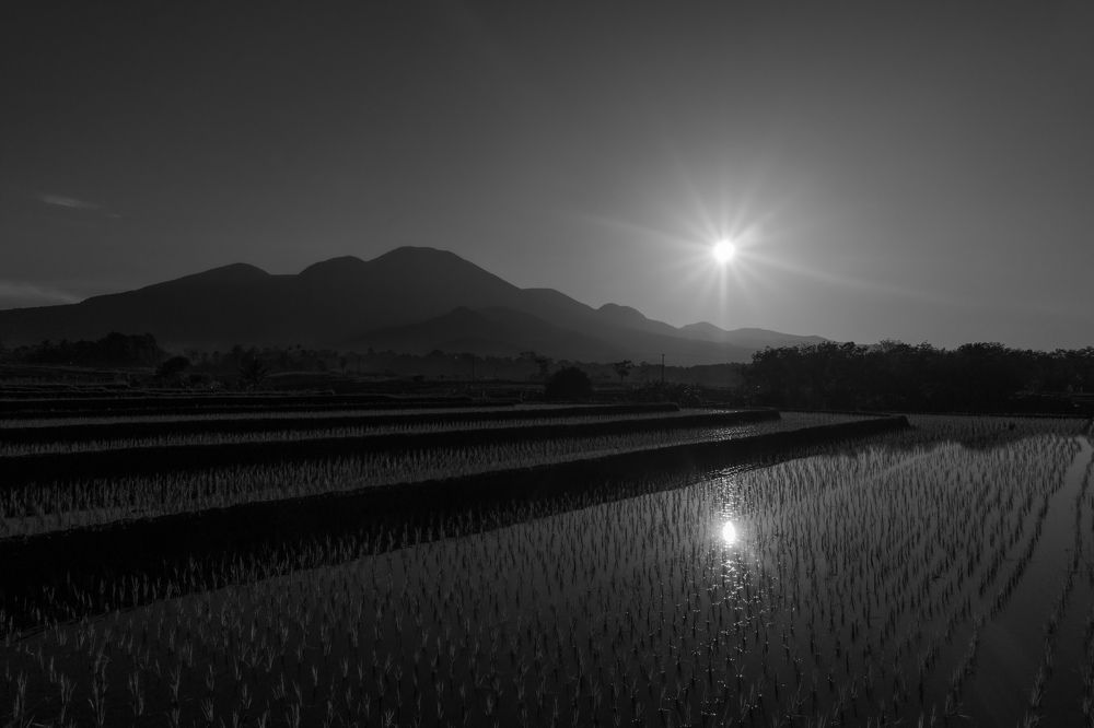 Photograph by rahmad himawan