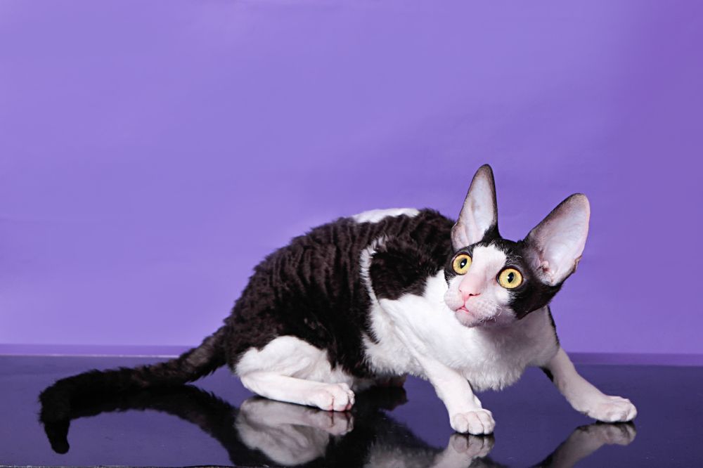 Photograph by Похабова Любовь