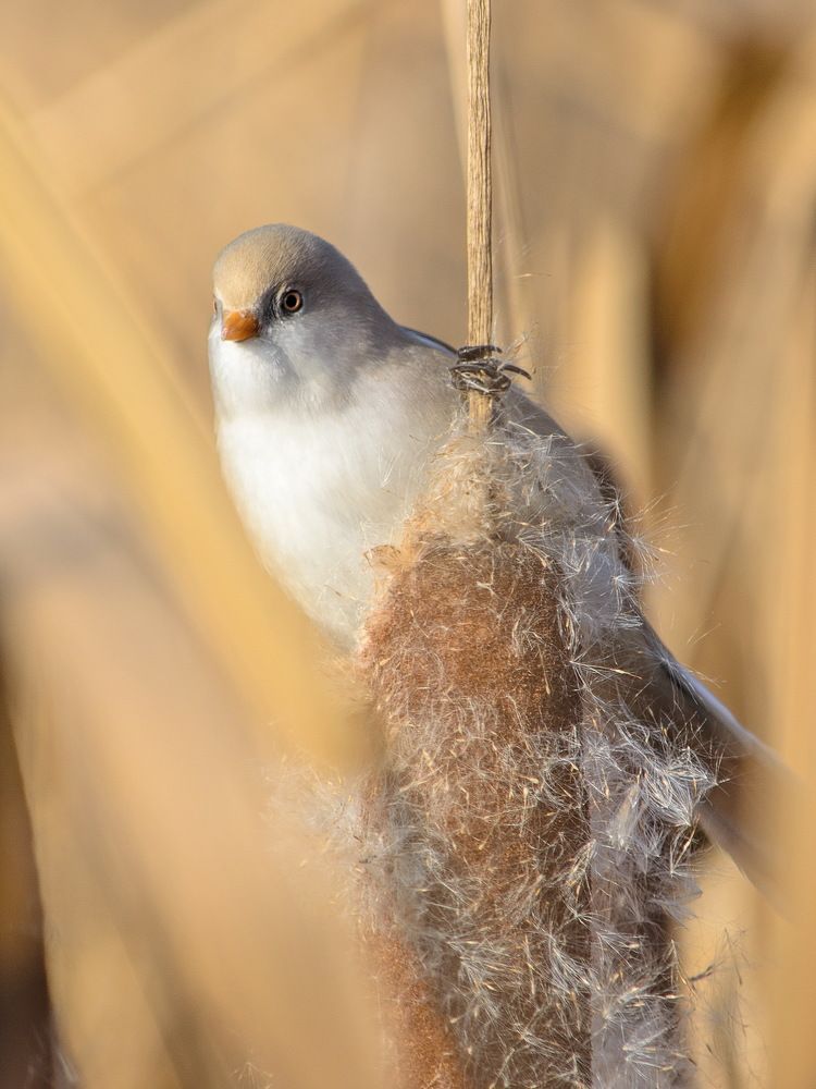 Photograph by Оксана Маховская