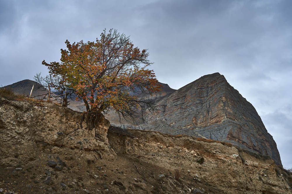 Photograph by Евгений Вологжанин