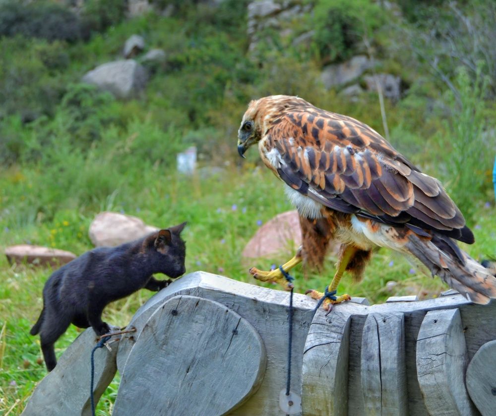 Photograph by Орынбек Асилбаев