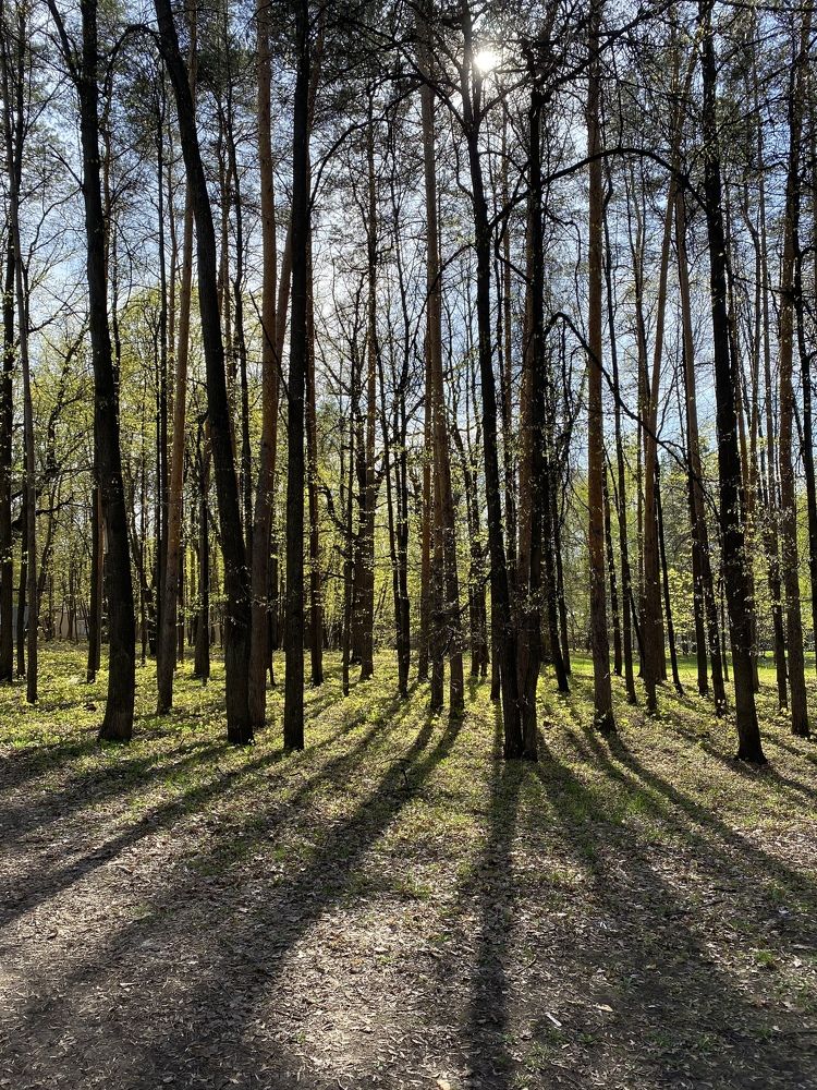 Photograph by Гульнара Шаньгина