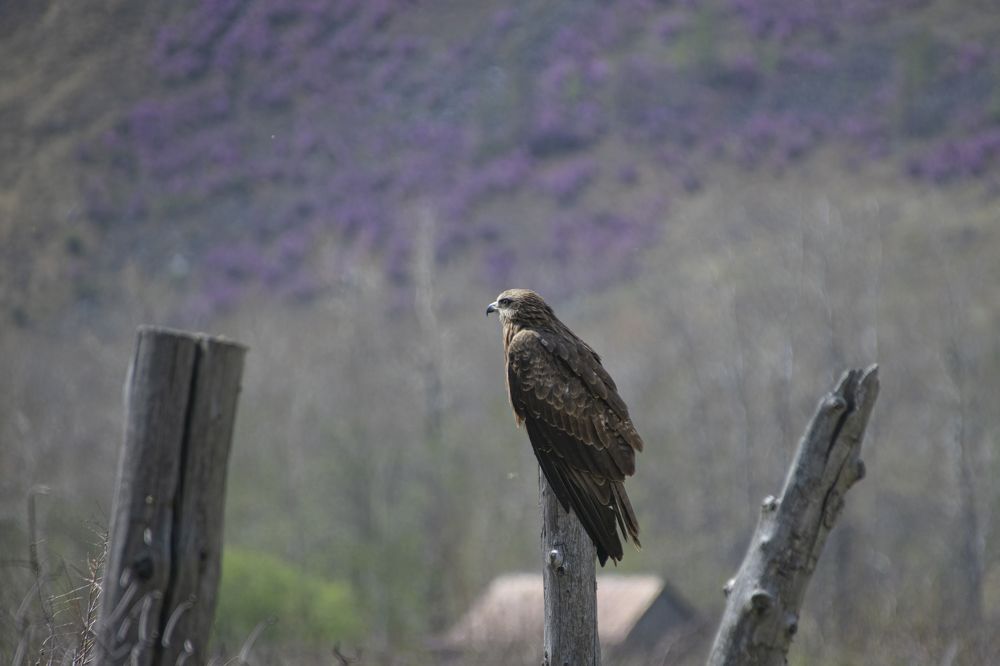 Photograph by Надежда Михайлина
