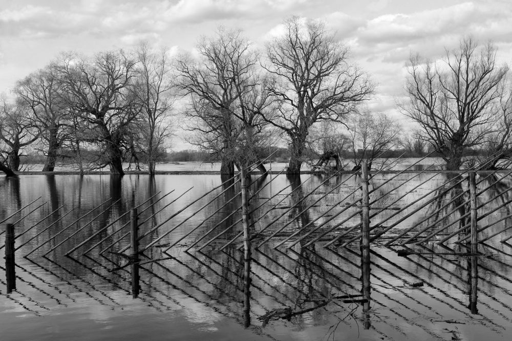 Photograph by Сергей Иванов