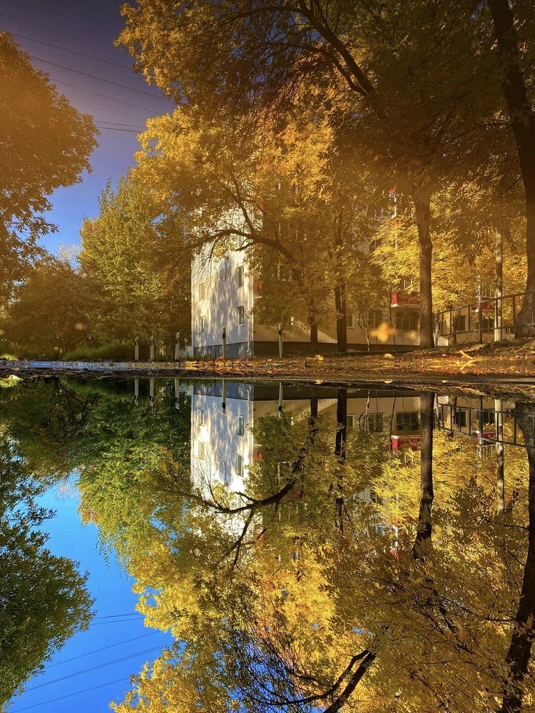 Photograph by Гульнара Шаньгина