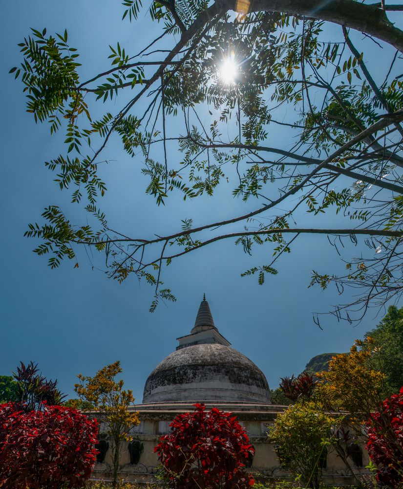 Photograph by Chamara Sulakkhana Polwatta Siriyalage