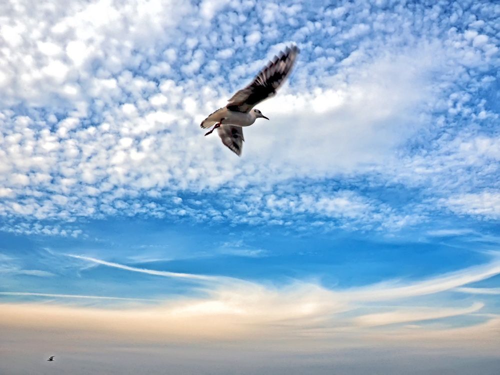 Photograph by Михаил Малец