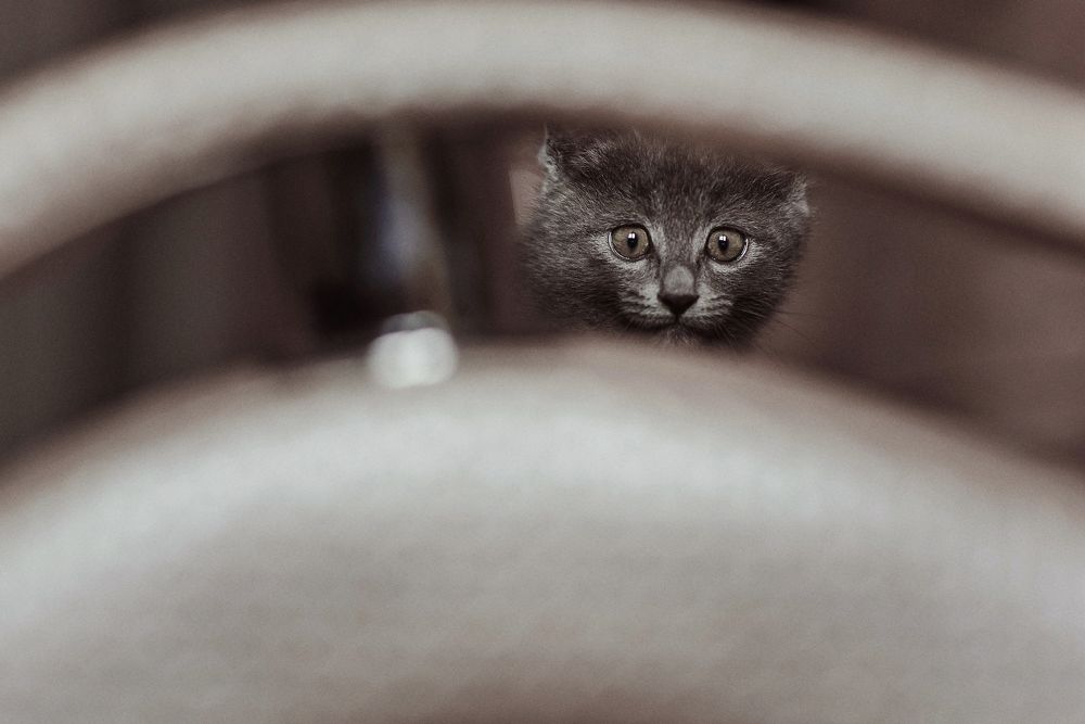 Photograph by Анна Ермоленко