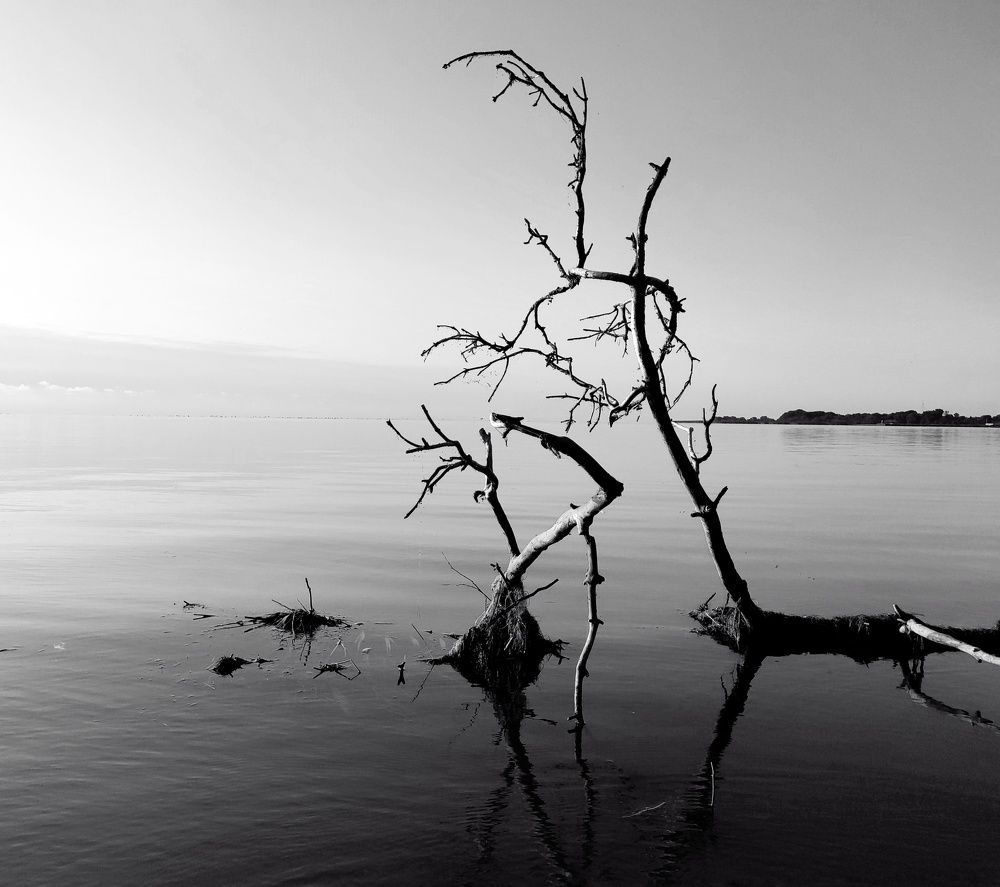 Photo #7587605