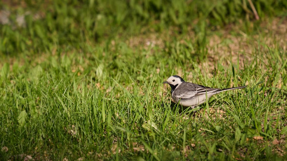 Photograph by Дмитрий