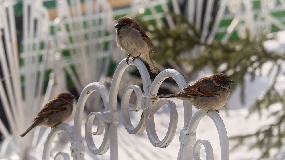 Photograph by Дмитрий