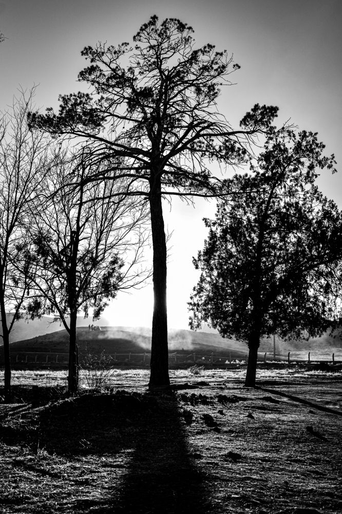 Photograph by Mohammad Delpak Fariman