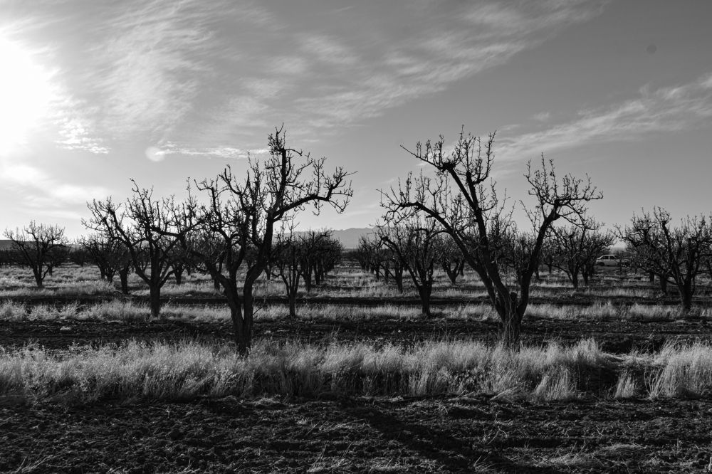 Photograph by Mohammad Delpak Fariman