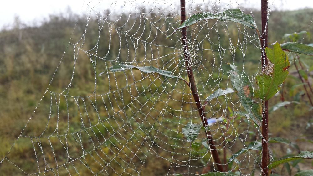 Фотография автора Сергей Сухумский