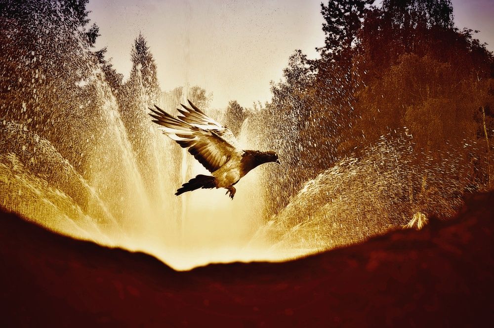 Photograph by Jaroslav Sameš