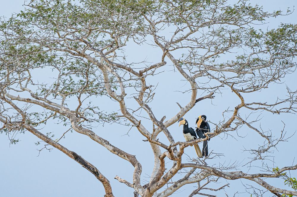 Photograph by Shenal Silva