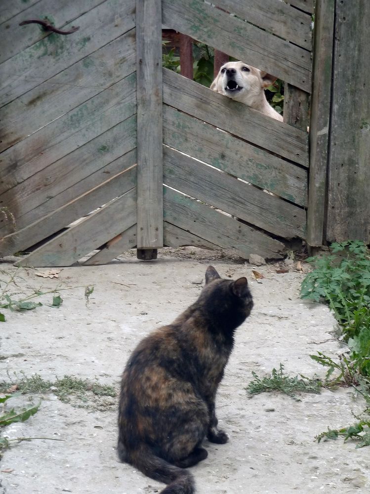 Photograph by Светлана Борозенцева