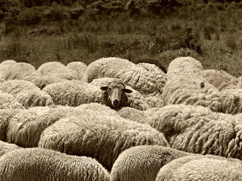 Photograph by Светлана Борозенцева