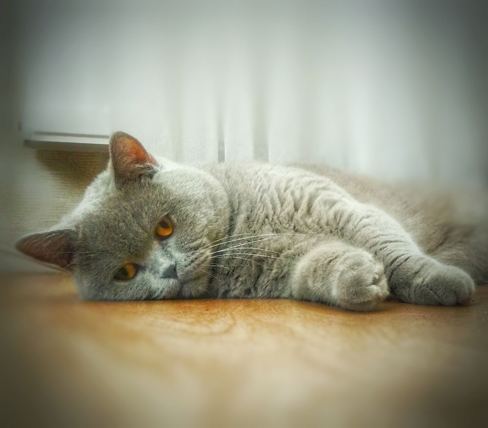 Photograph by Сергей Жигульский