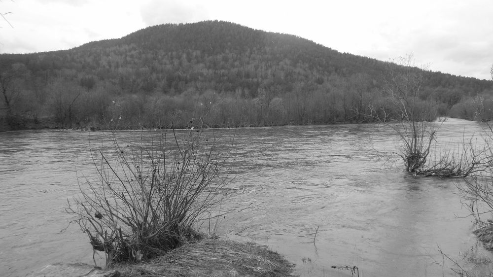 Photograph by Светлана Батурова