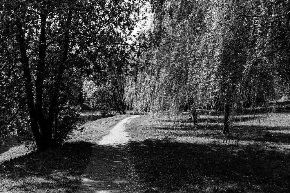 Photograph by Pavel Morozov