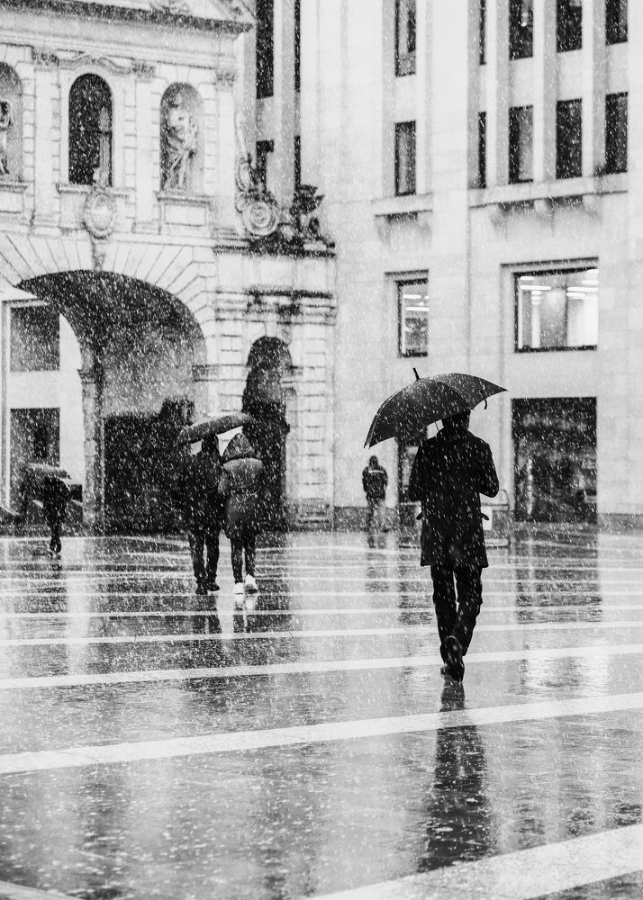 Photograph by Selaru Ovidiu