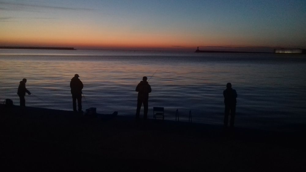 Фотография автора Анна Переверзева