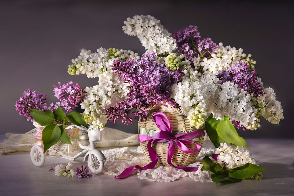 Photograph by Шруб (Беляева) Татьяна