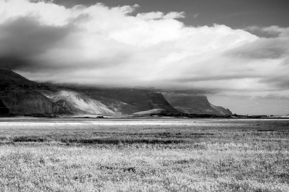 Фотография автора Владимир Эделев