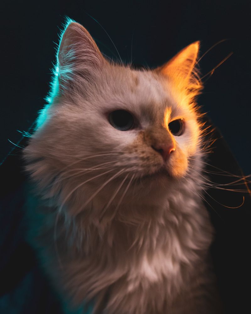 Photograph by Ксюша Черотченко