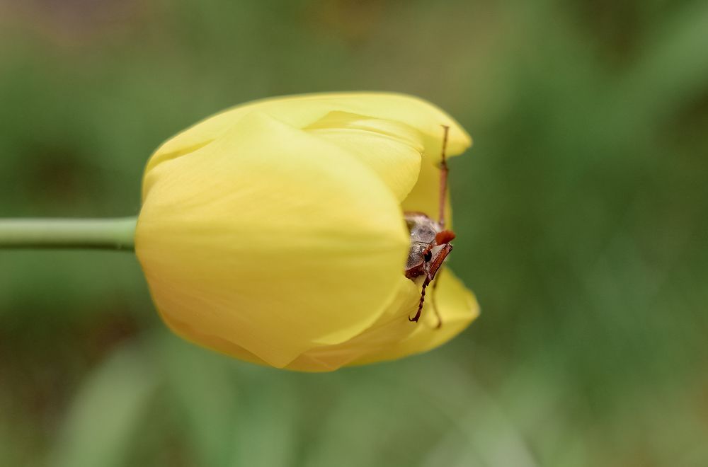 Фотография автора Дмитрий Гусалов