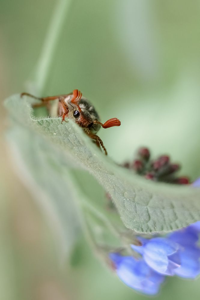 Фотография автора Дмитрий Гусалов