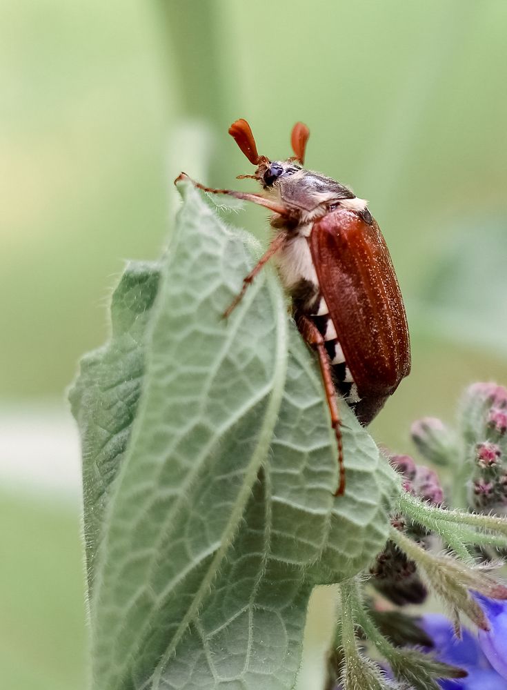 Фотография автора Дмитрий Гусалов