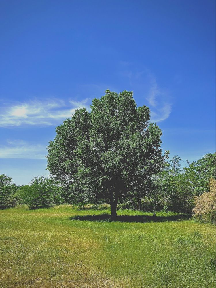 Photograph by Анна Миллер