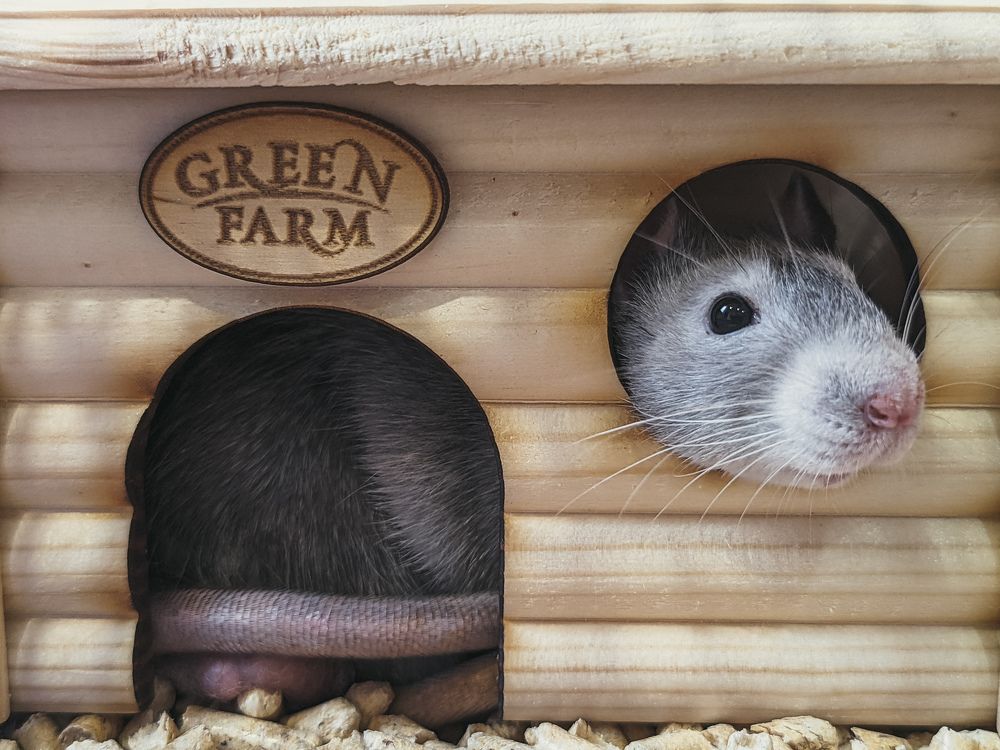 Photograph by Евгений Порсов